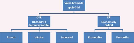 Organizační struktura