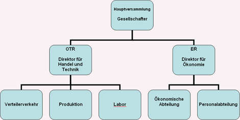 Organizační struktura