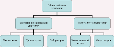 Organizační struktura